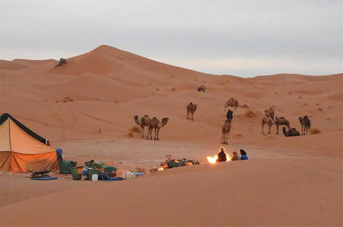 Theo các chuyên gia, những căn nhà bằng gạch kỳ lạ đó là "tác phẩm" của người Bedouin.