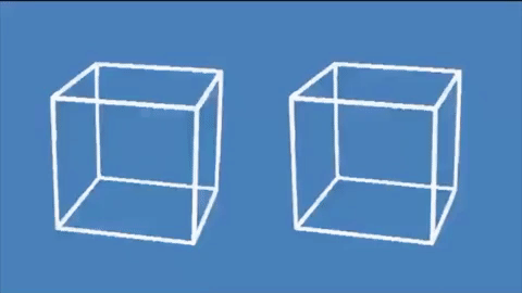 Hình ảnh động hiển thị hai khối lập phương cạnh nhau trên nền xanh lam đã thu hút nhiều người