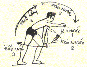 Học cách bơi sải.