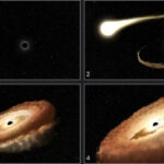 NASA ghi lại hình ảnh hố đen “ăn thịt” một ngôi sao