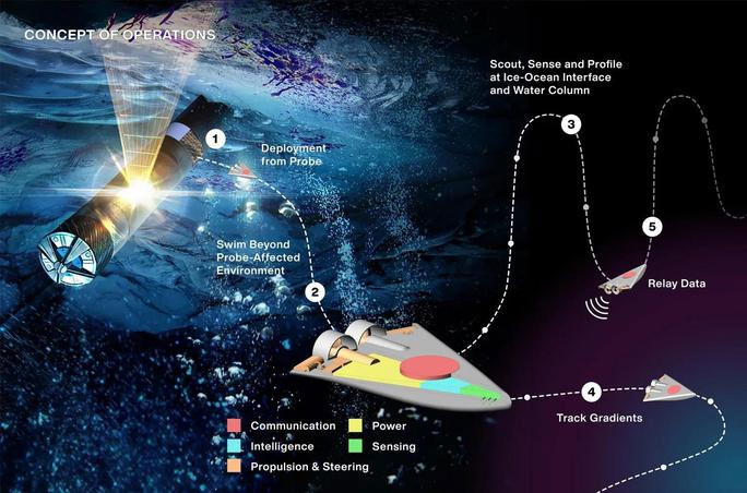 Các robot SWIM nhỏ bé