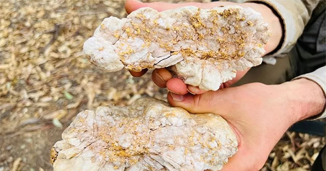 Người đàn ông bẻ đôi cục đá, phát hiện bên trong có 2,6kg vàng