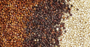 Hạt Quinoa là gì? Lợi ích vàng của hạt quinoa đối với sức khỏe