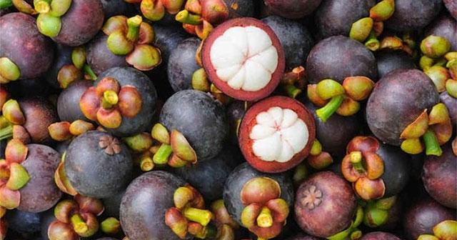 Những đại kỵ khi ăn măng cụt bạn nhất định phải biết