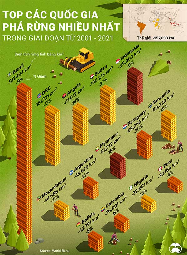 quoc-gia-pha-rung-nhieu-nhat Những quốc gia phá rừng nhiều nhất