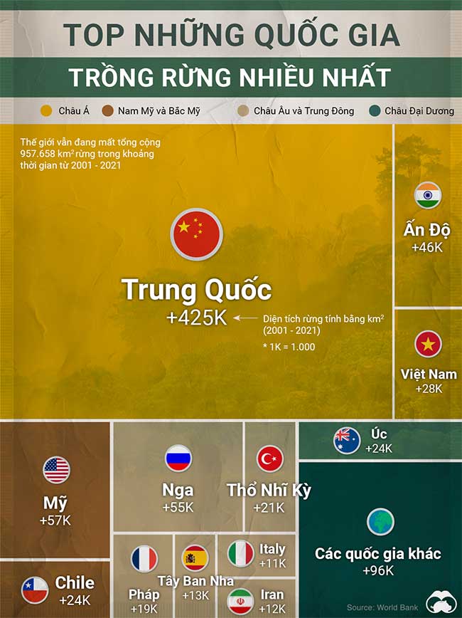 quoc-gia-trong-rung-nhieu-nhat Những quốc gia trồng rừng nhiều nhất