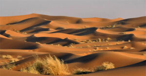 Dùng radar đo độ sâu sa mạc Sahara, các nhà khoa học phát hiện ra “thứ” khổng lồ bên dưới