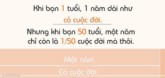 Khi bạn 50 tuổi, 1 năm chỉ còn là 2% cuộc đời mà thôi.