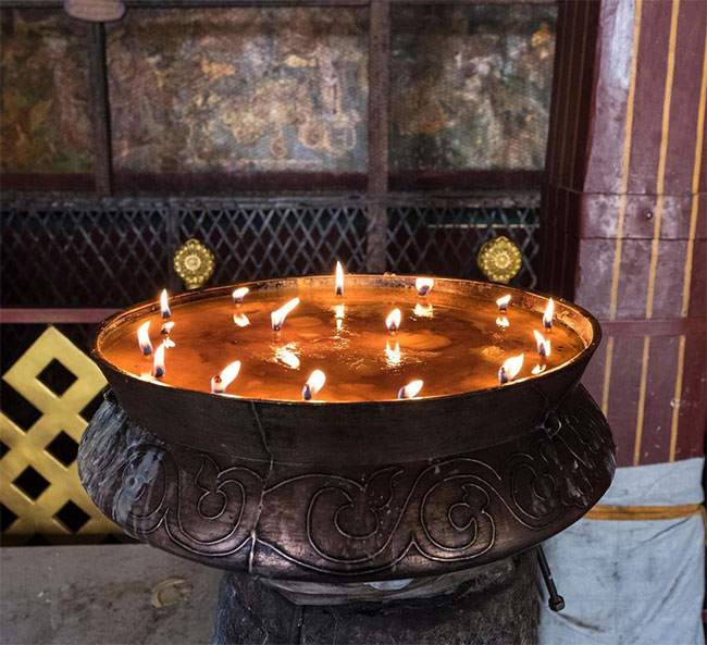 Đèn bơ sữa