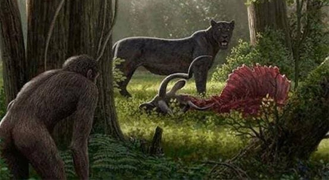  Trong quá trình phát triển và tiến hóa của loài người, đã từng tồn tại một loại thiên địch, đó là mèo.