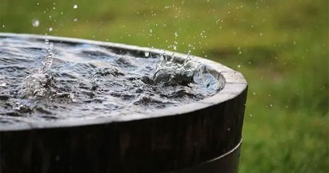 Nước mưa trên khắp thế giới đều có các hóa chất gây ung thư, khuyến cáo không sử dụng