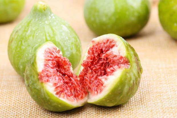 qua-sung Quả sung không chỉ là thực phẩm mà còn là thuốc quý đối với phổi