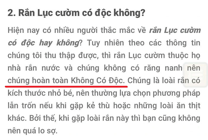 ran-cuom-2 Một thông tin hoàn toàn sai về rắn lục cườm được tìm thấy trên Google