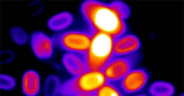 “Chất rắn ngậm nước” làm rung chuyển giới khoa học