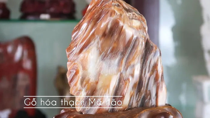 go-hoa-thach-10 Gỗ hóa ngọc Mã não