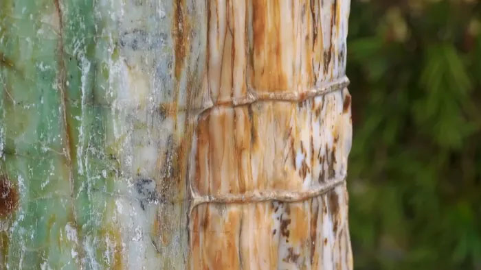 go-hoa-thach-3 Tùy theo các khoáng thể được thay thế sợi gỗ mà định hình nên các loại gỗ hóa ngọc